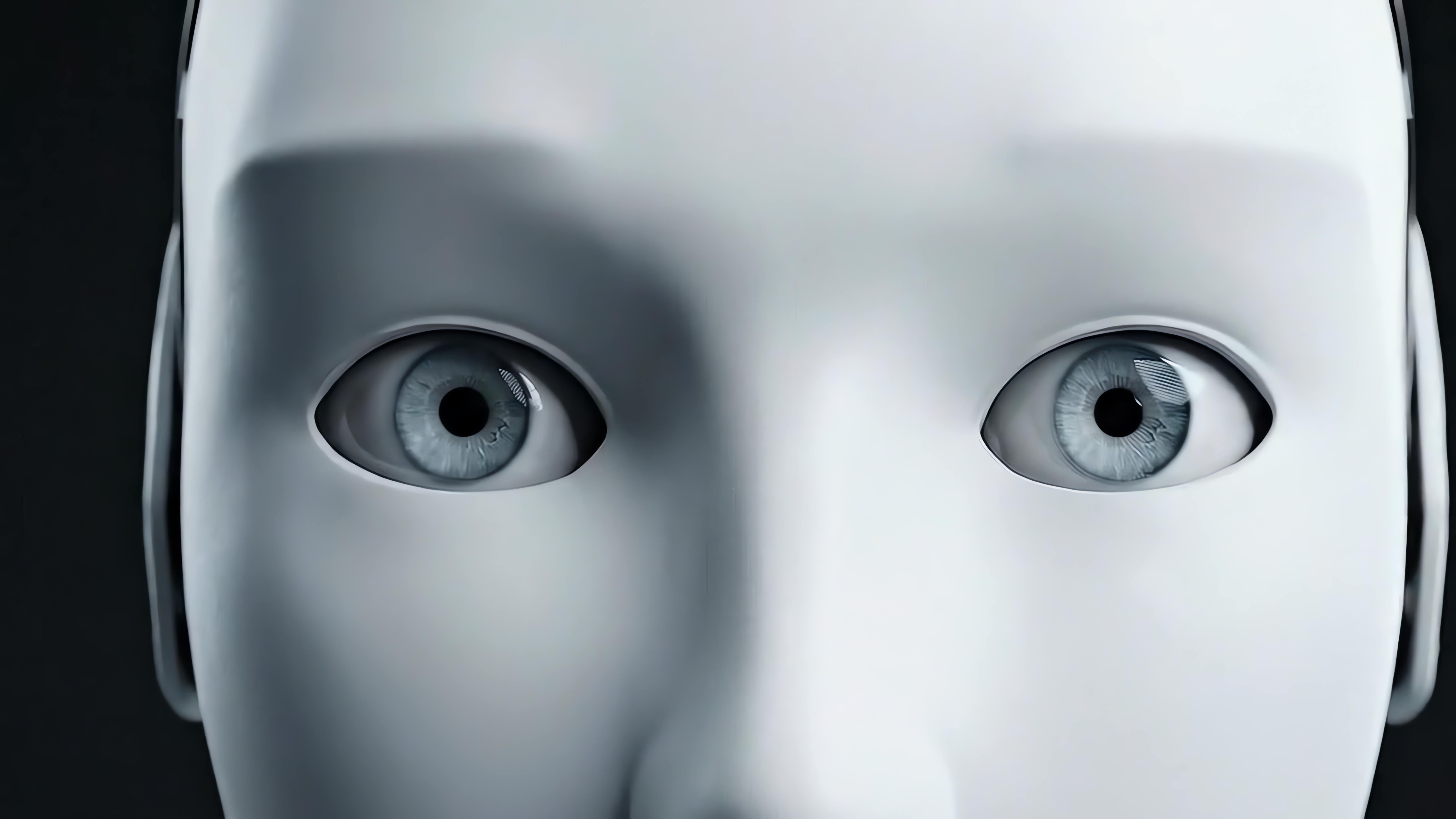 VISAGE Foundation Models